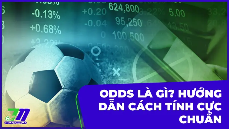 Odds Là Gì? Hướng Dẫn Cách Tính Cực Chuẩn Trong Bóng Đá