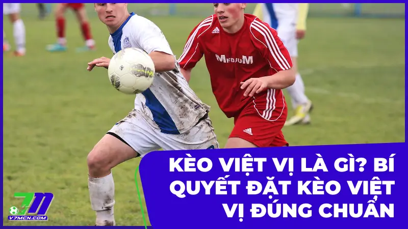 Kèo Việt Vị Là Gì? Bí Quyết Đặt Kèo Việt Vị Đúng Chuẩn 