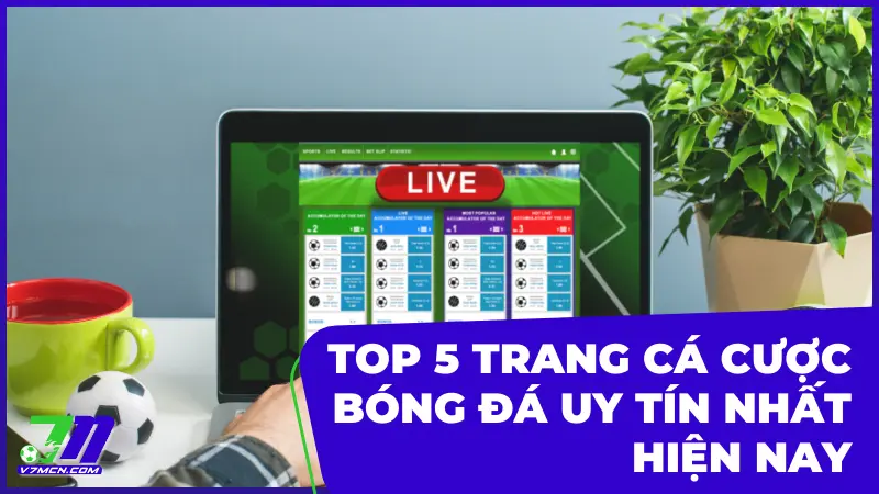 Top 5 Trang Cá Cược Bóng Đá Uy Tín Xứng Đáng Được Lựa Chọn