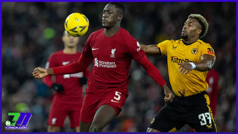 Trận đấu hấp dẫn giữa Liverpool vs Wolves (16/02/2025 - 21:00)